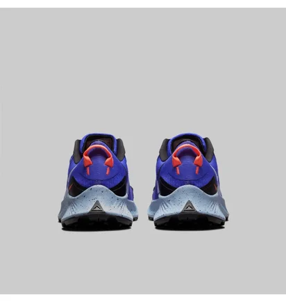 Кроссовки женские Nike Pegasus Trail 3 Blue Da8698-401