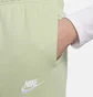 Штани жіночі Nike Sportswear Club Fleece Mid-Rise Joggers Green DQ5191-343