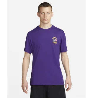 Футболка мужская Nike Dri-Fit Training T-Shirt Violet FD0138-547