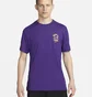 Футболка мужская Nike Dri-Fit Training T-Shirt Violet FD0138-547