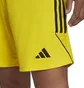 Шорти чоловічі Adidas Shorts Tiro 23 Sho Yellow IB8085