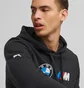 Худи мужское Puma Bmw M Ess Ft Black 538143-01