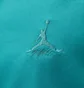 Рубашка мужская Air Jordan Jess Stmt Wsh Top Turquoise FN4625-392