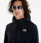 Толстовка мужская The North Face Homesafe Fz Fl Hoodie Black NF0A855JKX7