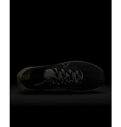 Кроссовки мужские Nike Pegasus Trail 4 Gore-Tex Black DJ7926-005