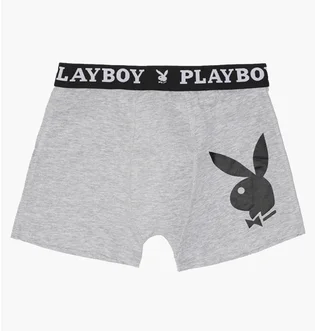Трусы мужские Playboy Annya Boxershort Xl Grey (1 шт) ANNYA-0203