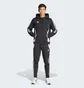 Куртка мужская Adidas Tiro 24 Sweat Hoodie Black IJ7673