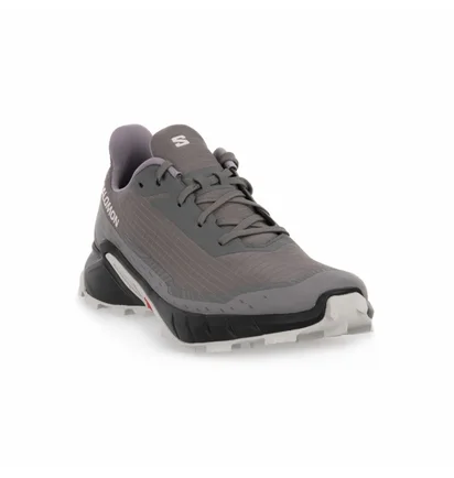 Кроссовки мужские Salomon Alphacross 5 Gtx Grey 473133