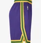 Шорты мужские Nike Dri-Fit Nba Swingman Utah Jazz Hardwood Classics 2023/24 Violet DX8726-547
