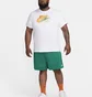 Футболка мужская Nike Sportswear T-Shirt White FQ7995-100