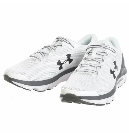 Кросівки чоловічі Under Armour Charged Gemini 2020 White 3023276-100
