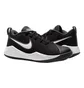 Кросівки дитячі Nike TEAM HUSTLE QUICK 2 (GS) Black AT5298-002
