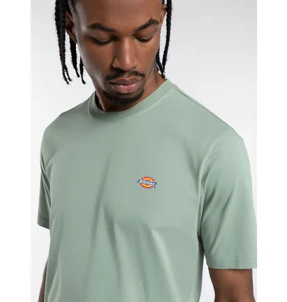 Футболка чоловіча Dickies Mapleton Green DK0A4XDBK361