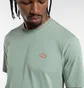 Футболка чоловіча Dickies Mapleton Green DK0A4XDBK361