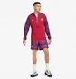 Олімпійка чоловіча Nike Fc Barcelona 23/24 Academy Anthem Jacket Gx Red/Blue FB3043-620