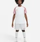 Футболка детская Nike Dri-Fit Academy White DH8369-100