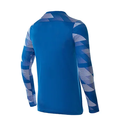 Кофта мужская Nike Dry Park Iv Goalkeeper Jersey Long Sleeve Light Blue CJ6066-463