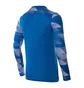 Кофта мужская Nike Dry Park Iv Goalkeeper Jersey Long Sleeve Light Blue CJ6066-463