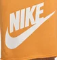 Шорти чоловічі Nike Club Alumni French Terry Orange DX0502-717