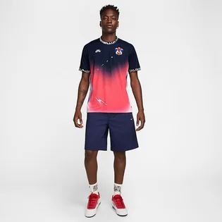 Футболка мужская Nike Sb Olympics 2024 Blue/Pink FZ4066-451