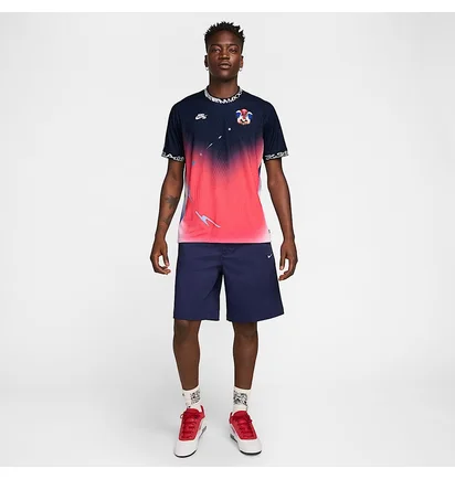 Футболка мужская Nike Sb Olympics 2024 Blue/Pink FZ4066-451