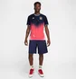 Футболка мужская Nike Sb Olympics 2024 Blue/Pink FZ4066-451