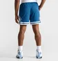Шорти унісекс Air Jordan Dri-Fit Sport Diamond Basketball Shorts Blue DX1487-457