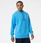 Худі чоловіче New Balance Essentials Celebrate Hoodie Blue Mt21513Vsk