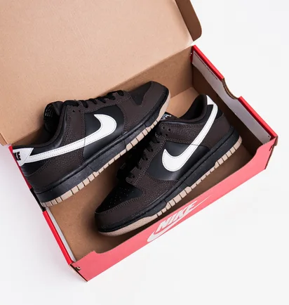 Кросівки жіночі Nike Dunk Low Next Nature Brown/Black HF9984-001