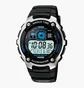 Часы мужские Casio AE-2000W-1A