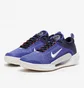 Кроссовки мужские Nike Court Zoom Nxt Hc Violet DH0219-400
