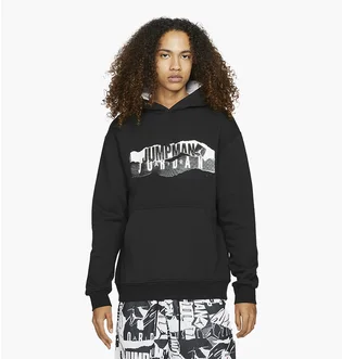 Худи мужское Air Jordan Essential Black DH5481-010