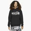 Худи мужское Air Jordan Essential Black DH5481-010