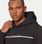 Худи мужское Calvin Klein Split Line Logo Black K10K114338