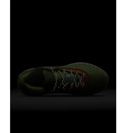 Кросівки чоловічі Nike Lebron Xx Stocking Stuffer Green Fj4955-300