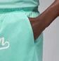 Шорты мужские Air Jordan Mvp Green FN4661-349