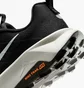 Кроссовки мужские Nike Wildhorse 10 Reactx Black FV2338-001