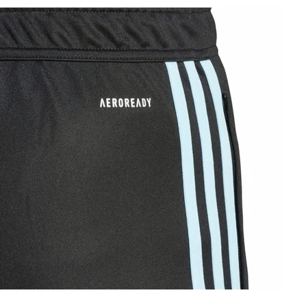 Штаны мужские Adidas Pants Tiro23 Cb Trpnt Black IL9549