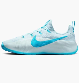 Кроссовки мужские Nike Lebron Tr 1 Light Blue FJ6151-400