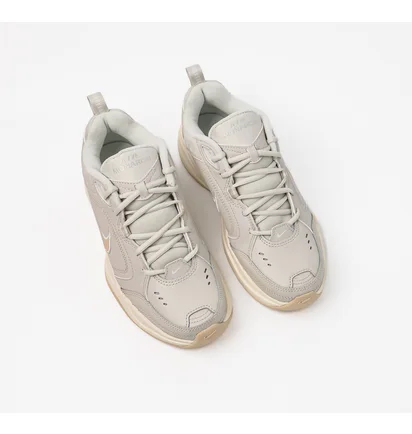 Кроссовки мужские Nike Air Monarch Iv Beige 415445-004