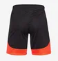 Шорты мужские Nike Dri-Fit Academy Pro Shorts Black DH9236-013