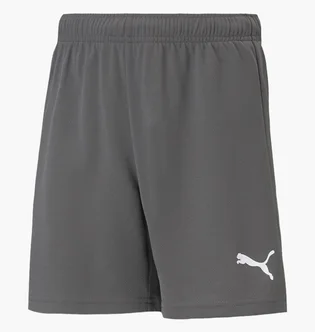 Шорти дитячі Puma Teamrise Short Jr Grey 70494313