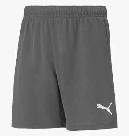 Шорти дитячі Puma Teamrise Short Jr Grey 70494313