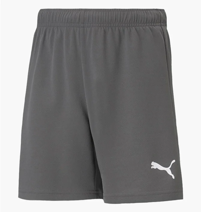 Шорти дитячі Puma Teamrise Short Jr Grey 70494313