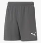 Шорти дитячі Puma Teamrise Short Jr Grey 70494313