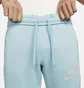 Штаны мужские Nike Sportswear Fleece Pants Blue DO7232-494