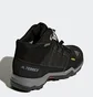 Ботинки детские Adidas Terrex Mid Gore-Tex Black BB1952