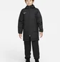 Куртка детская Nike Team Park 20 Winter Jacket Black Cw6158-010