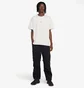 Футболка мужская Air Jordan Acg Lungs Tee Light Orewood White DQ1815-104