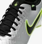 Бутси чоловічі Nike Tiempo Legend 10 Pro Fg Metallic DV4333-001